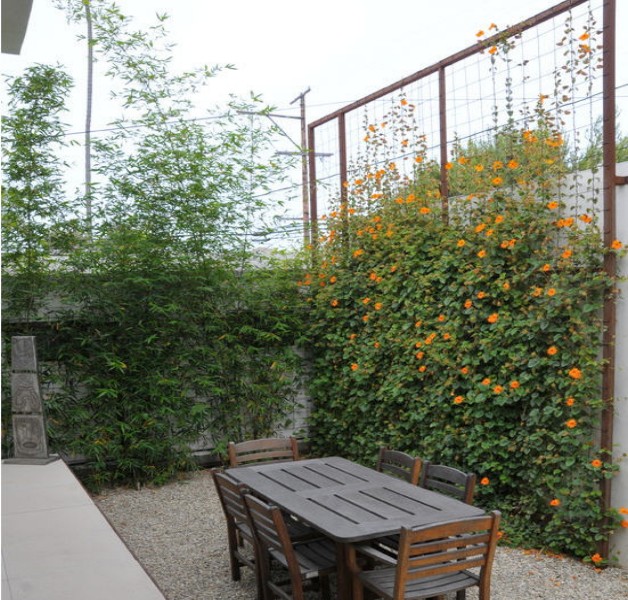 Garden Trellises Ideas 5