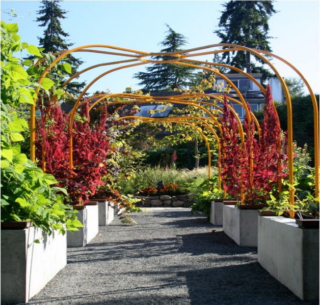 Garden Trellises Ideas 7