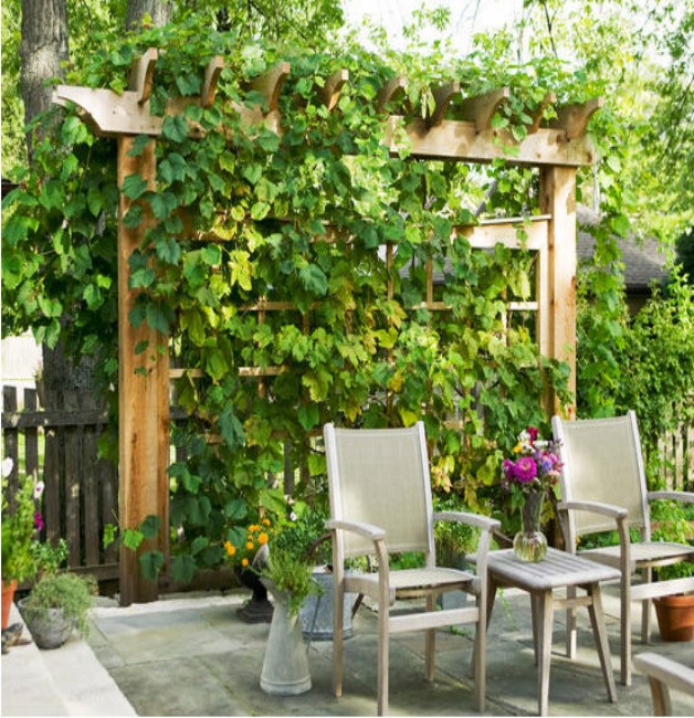 Outdoor Trellis Designs 1
