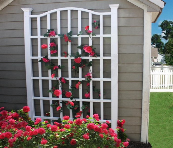Trellis Garden Decor 14