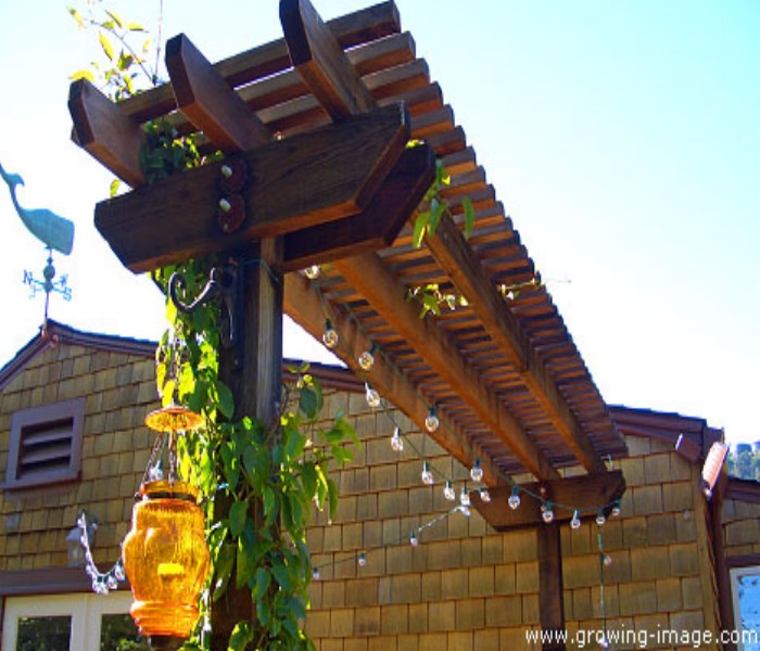 Trellis Over a Deck, The Best Option Pergola Gazebos