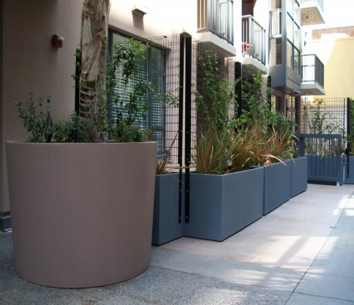 Trellises Condominium is Grown