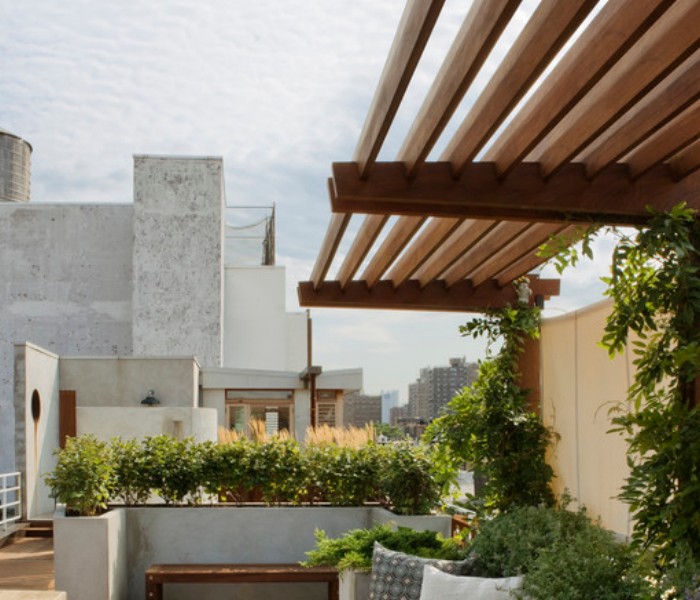 Trellis Canopies / Cover Ideas Pergola Gazebos