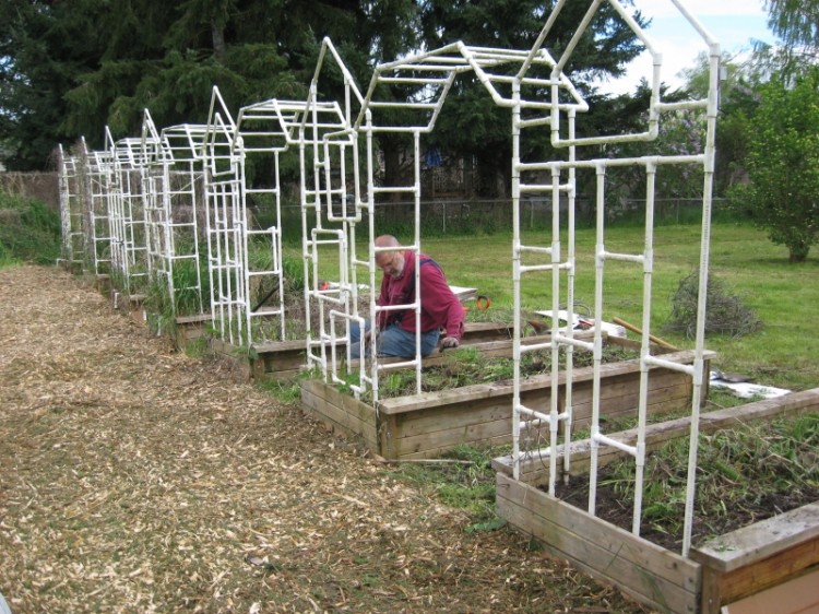 Trellises Constructed from PVC Pipes Pergola Gazebos