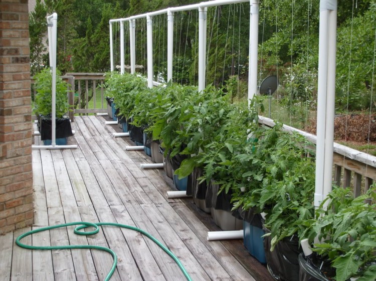 Trellises Constructed from PVC Pipes Pergola Gazebos