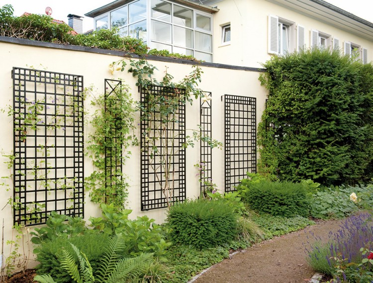 Trellis Ideas for Garden 3