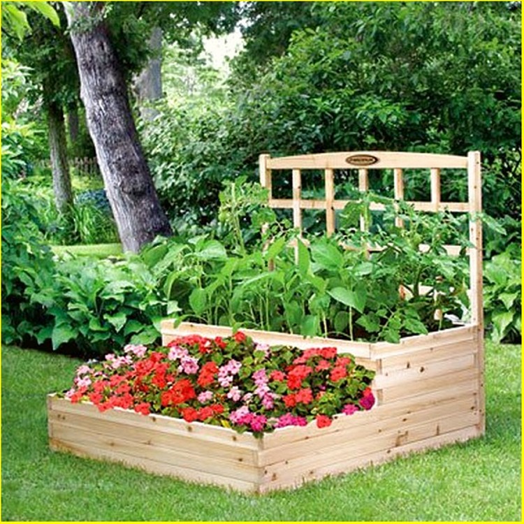 Trellis Ideas for Garden