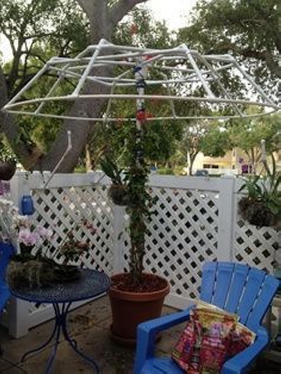Umbrella Trellises 4